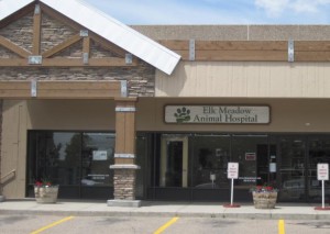 Elk Meadow Vet Evergreen Colorado