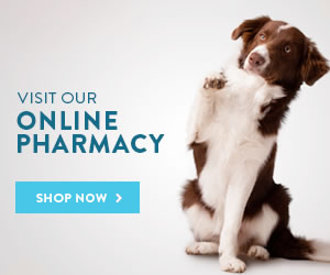 Shop the Elk Meadow Vet Online Pharmacy